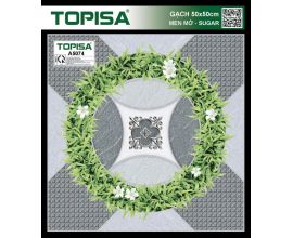 TTP-5074
