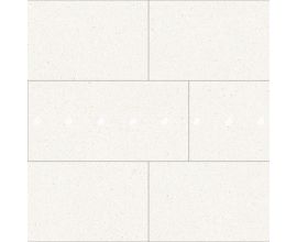 DT-4080SAPA002