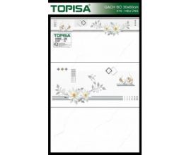 TTP-36007