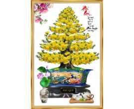 TRANH KTS KIẾNG CƯỜNG LỰC