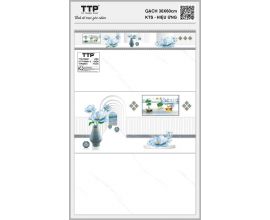 TTP-38601