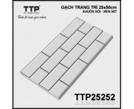 TTP-25252