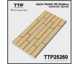 TTP-25260