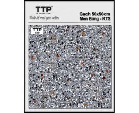 TTP-519