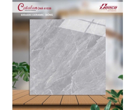 Gạch 60*60 61038