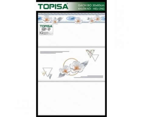 TTP-36051