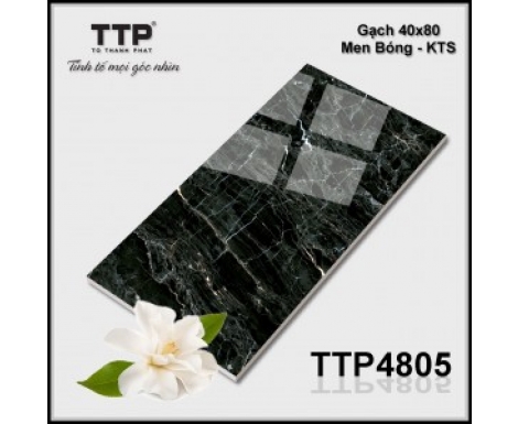 TTP-4805