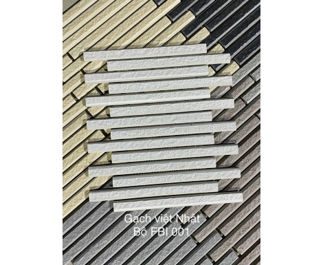 VN-FBI001