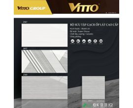 VITTO 2569-2567